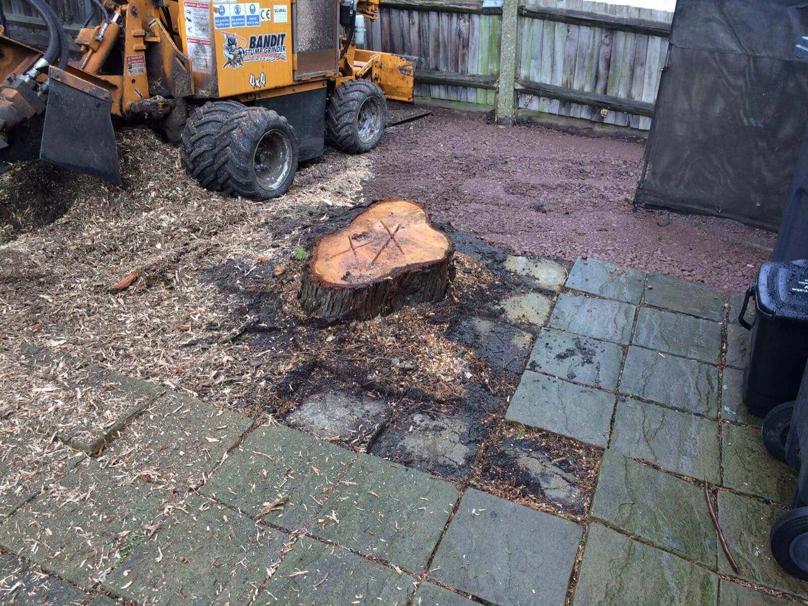 Tree Surgeons Norbury SW16